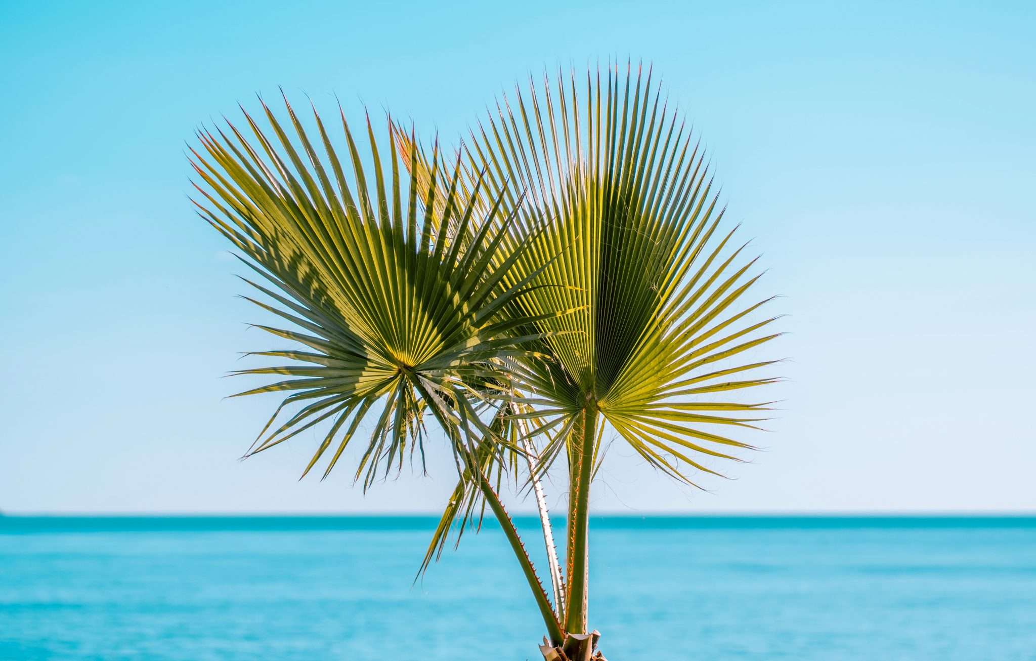 tom-brunberg-G_Xyhp8PyY0-unsplash
